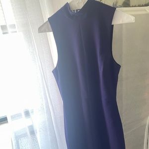 Likely Purple Dress